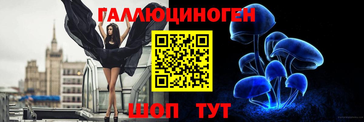 Тимашёвск  Псилоцибиновые грибы GOLDEN TEACHER  Вход с VPN 